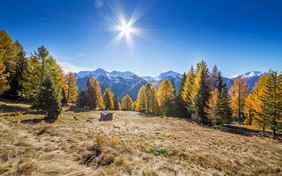 Ein Traum! - Foto: Gert Pöder